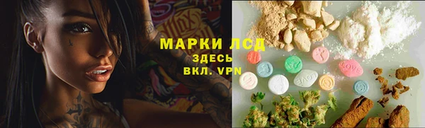 spice Бородино